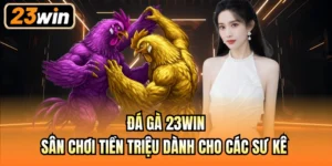 Đá gà 23Win