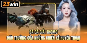 Đá gà giải Thomo