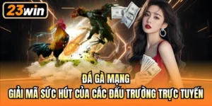 Đá gà mạng