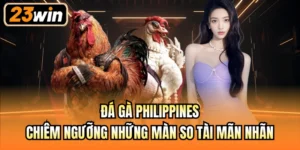 Đá gà Philippines