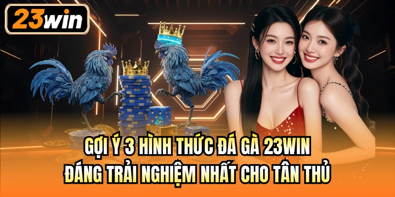 Gợi ý 3 hình thức đá gà 23Win đáng trải nghiệm nhất cho tân thủ