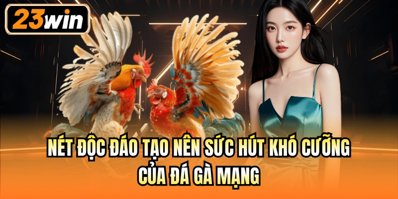 Nét độc đáo tạo nên sức hút khó cưỡng của đá gà mạng